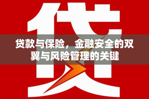 全南贷款与保险，金融安全的双翼与风险管理的关键