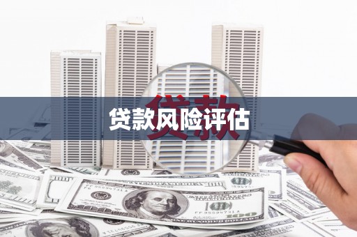 芎林贷款风险评估