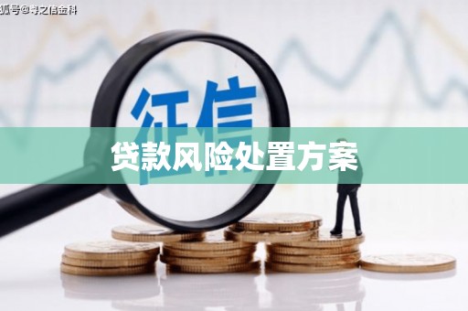 文安贷款风险处置方案