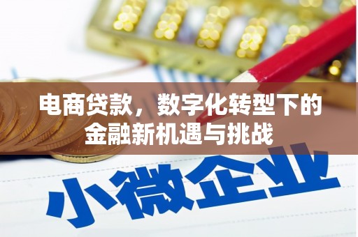 浦东电商贷款，数字化转型下的金融新机遇与挑战