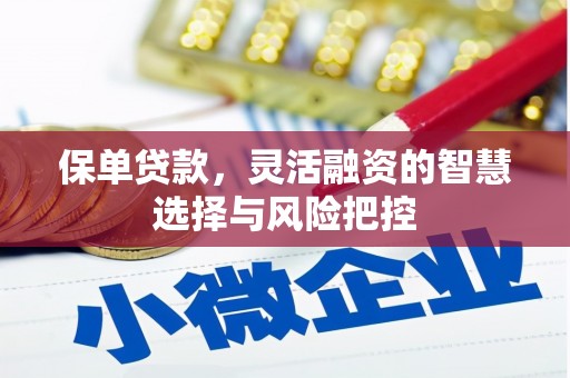 新园保单贷款，灵活融资的智慧选择与风险把控