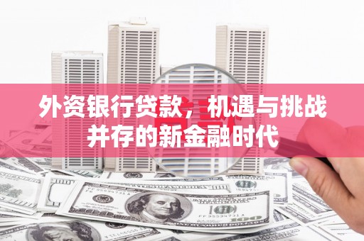 新埤外资银行贷款，机遇与挑战并存的新金融时代