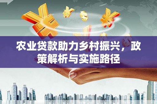 中卫农业贷款助力乡村振兴，政策解析与实施路径