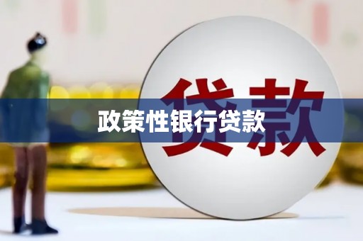 上街政策性银行贷款