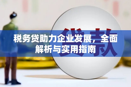 岑巩税务贷助力企业发展，全面解析与实用指南