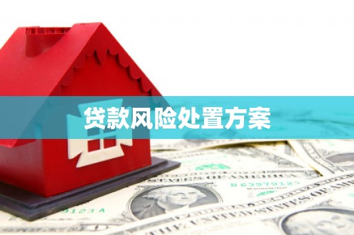 新绛贷款风险处置方案