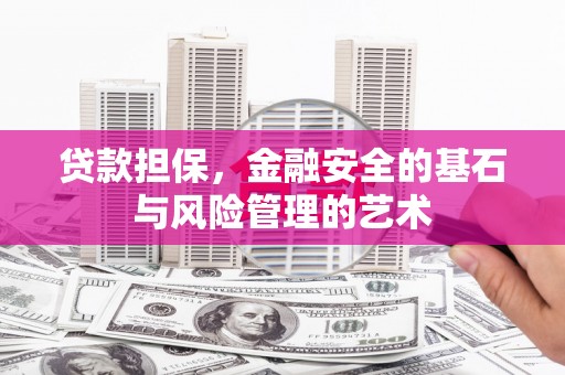 浦东贷款担保，金融安全的基石与风险管理的艺术
