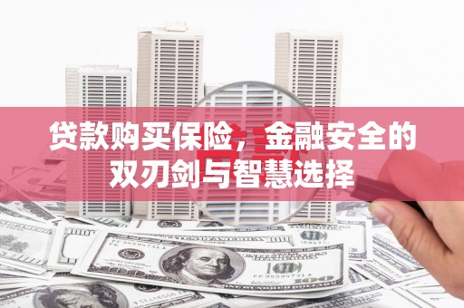 碑林贷款购买保险，金融安全的双刃剑与智慧选择