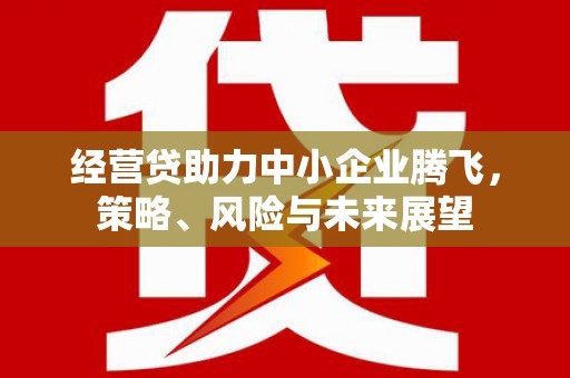 石屏经营贷助力中小企业腾飞，策略、风险与未来展望