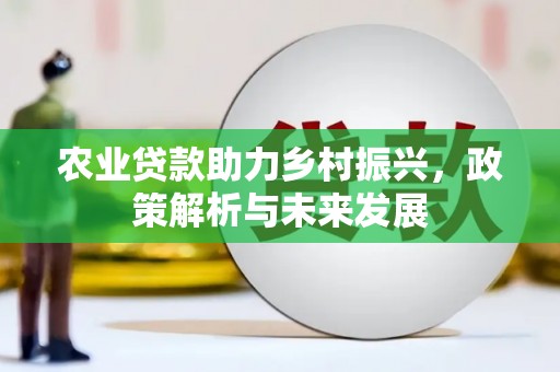 盐埕农业贷款助力乡村振兴，政策解析与未来发展
