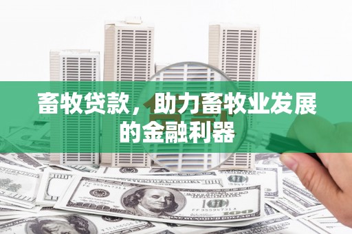 勉县畜牧贷款，助力畜牧业发展的金融利器