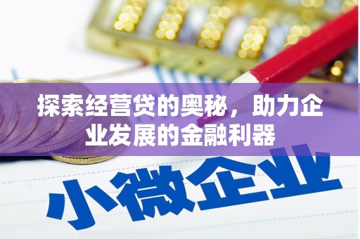林甸探索经营贷的奥秘，助力企业发展的金融利器