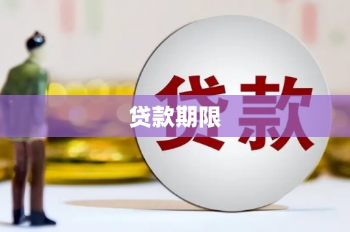 利辛贷款期限