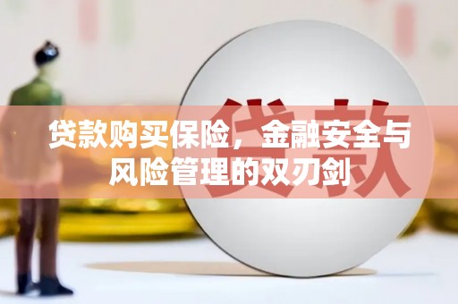 新北贷款购买保险，金融安全与风险管理的双刃剑