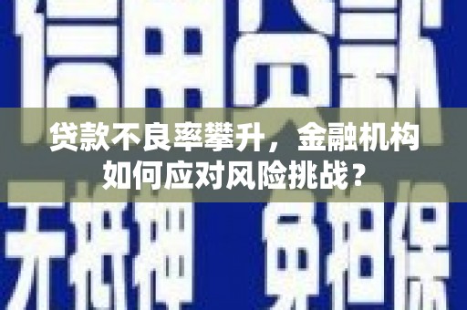 文圣贷款不良率攀升，金融机构如何应对风险挑战？