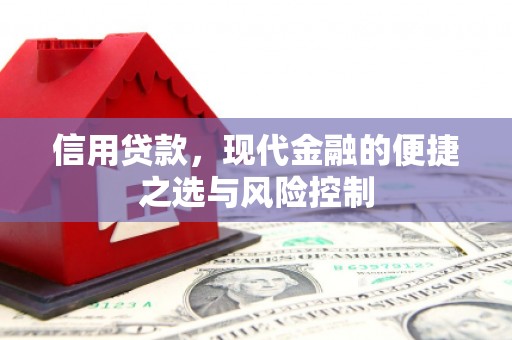 当涂信用贷款，现代金融的便捷之选与风险控制