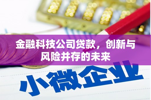商都金融科技公司贷款，创新与风险并存的未来