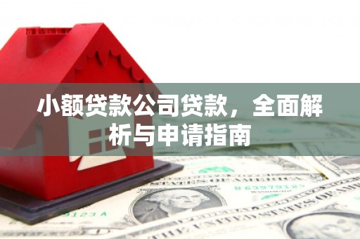横栏小额贷款公司贷款，全面解析与申请指南