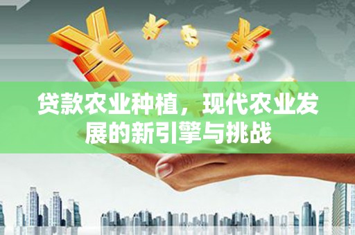 鄢陵贷款农业种植，现代农业发展的新引擎与挑战
