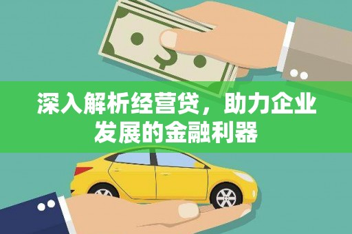 路环岛深入解析经营贷，助力企业发展的金融利器
