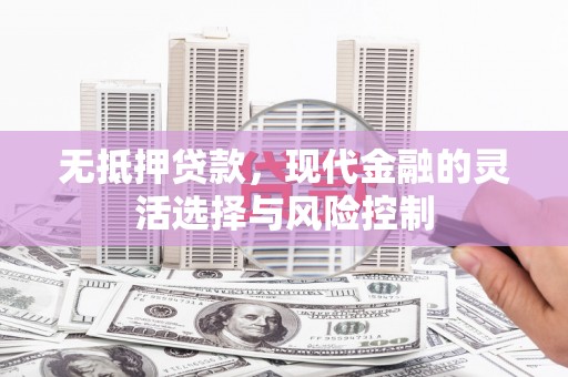 衡阳无抵押贷款，现代金融的灵活选择与风险控制