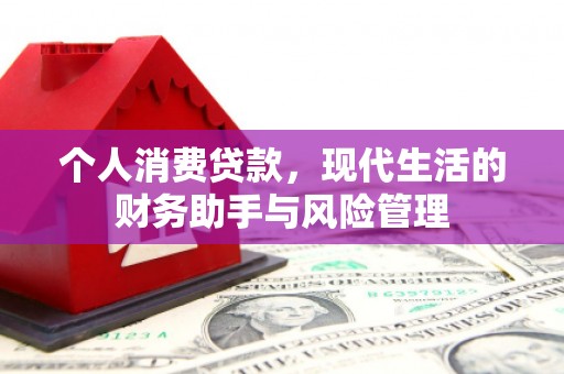 昭化个人消费贷款，现代生活的财务助手与风险管理