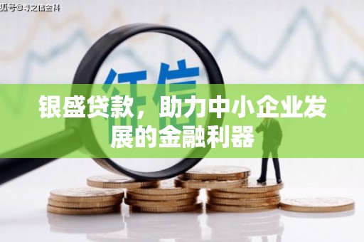 坪山新区银盛贷款，助力中小企业发展的金融利器