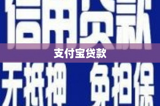 东乡族支付宝贷款