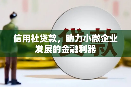 昌都信用社贷款，助力小微企业发展的金融利器