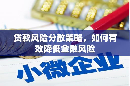 沙雅贷款风险分散策略，如何有效降低金融风险