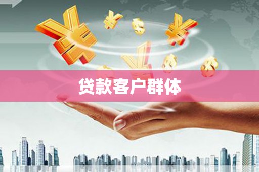 庐江贷款客户群体
