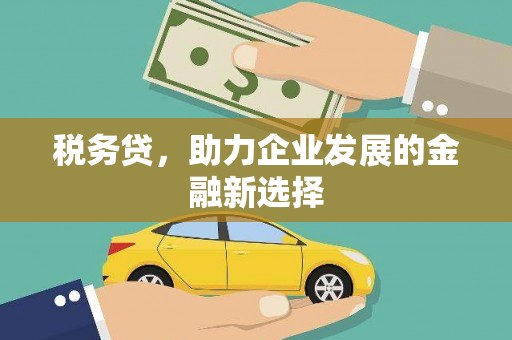 汶川税务贷，助力企业发展的金融新选择