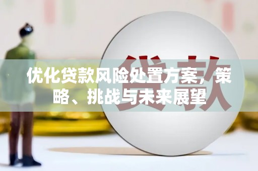 任城优化贷款风险处置方案，策略、挑战与未来展望