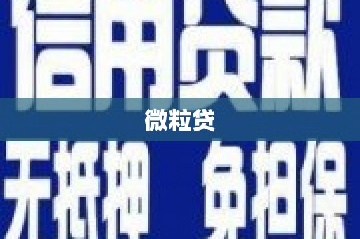 临沂微粒贷