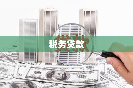 广德税务贷款