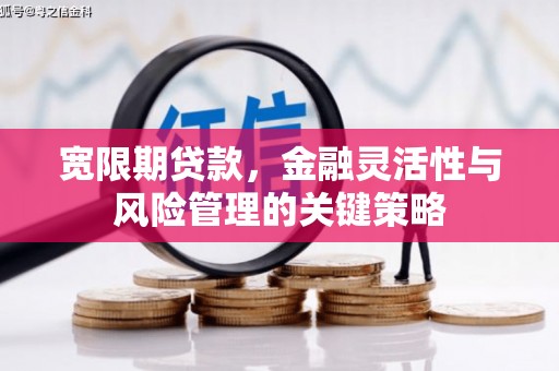 宁夏宽限期贷款，金融灵活性与风险管理的关键策略