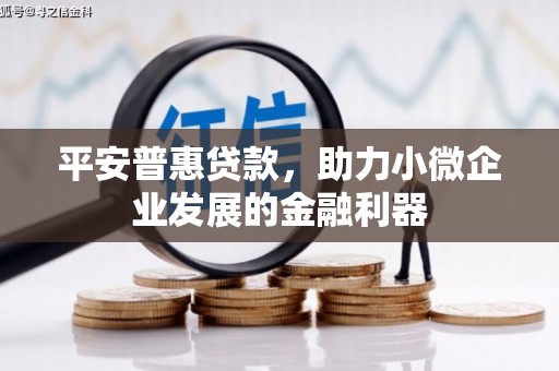 甘谷平安普惠贷款，助力小微企业发展的金融利器