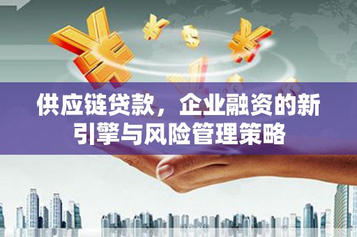 望奎供应链贷款，企业融资的新引擎与风险管理策略