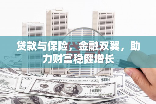 乐昌贷款与保险，金融双翼，助力财富稳健增长