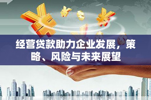 南长经营贷款助力企业发展，策略、风险与未来展望