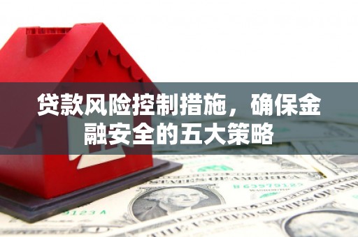 振兴贷款风险控制措施，确保金融安全的五大策略