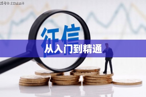 沙依巴克从入门到精通