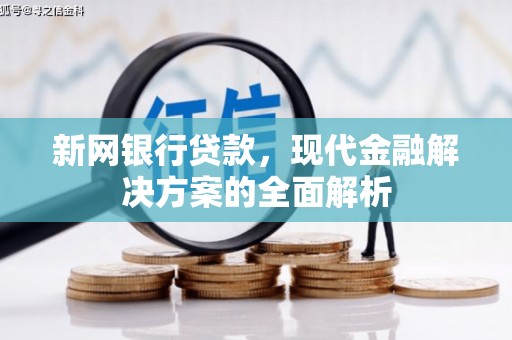 仙游新网银行贷款，现代金融解决方案的全面解析