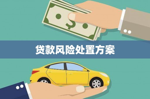 龙城贷款风险处置方案
