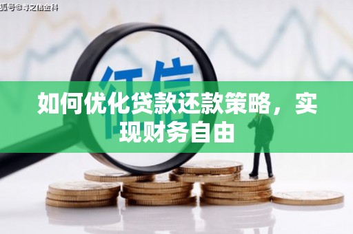乳源如何优化贷款还款策略，实现财务自由