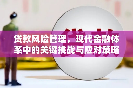 社旗贷款风险管理，现代金融体系中的关键挑战与应对策略