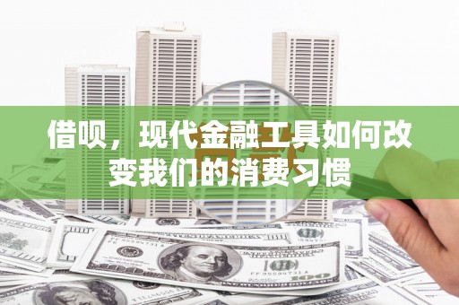 苗栗借呗，现代金融工具如何改变我们的消费习惯