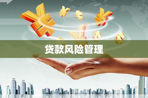 漳县贷款风险管理