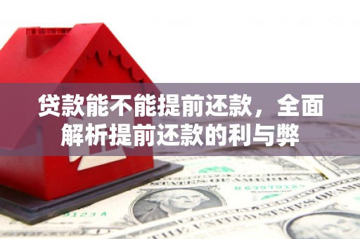 当阳贷款能不能提前还款，全面解析提前还款的利与弊