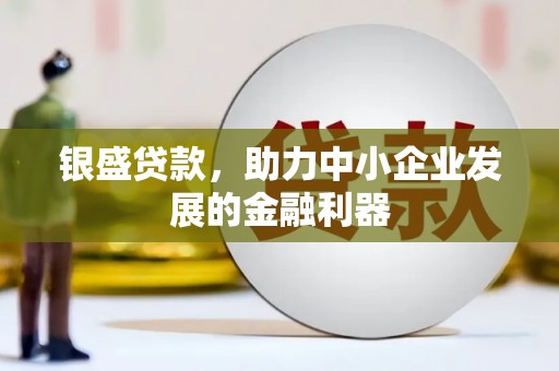 阳信银盛贷款，助力中小企业发展的金融利器